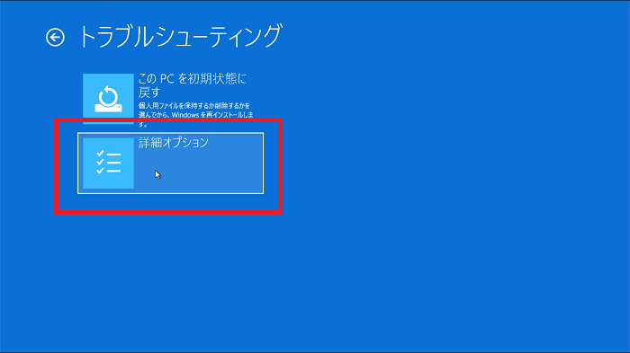 詳細オプション