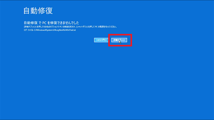 「詳細オプション」をクリック