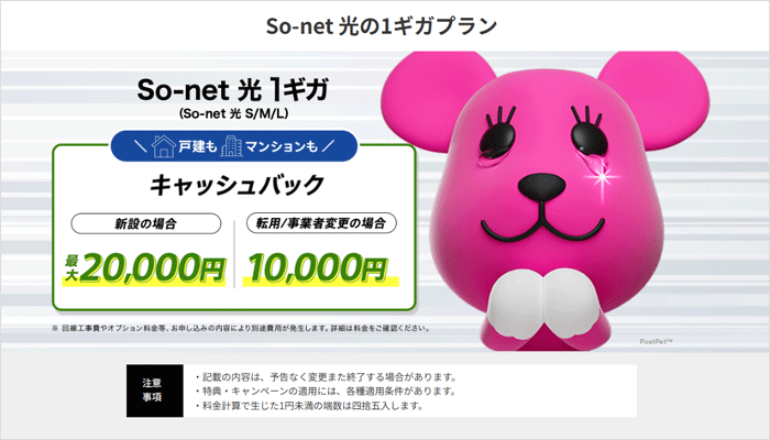 So-net光1ギガのLP画像